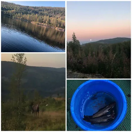 Sjoaasen Feriehus Tuddal